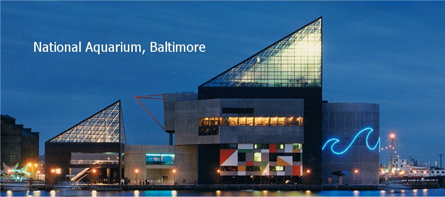 Banner for Baltimore showing aquarium