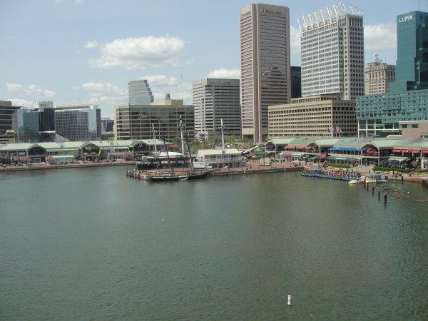 view of the harbor from Aquarium