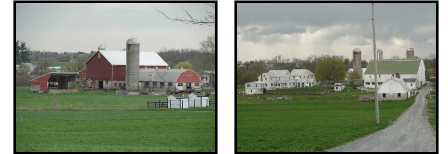 Two farm scenes