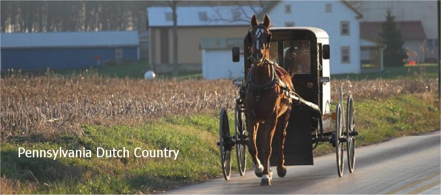Amish carrige