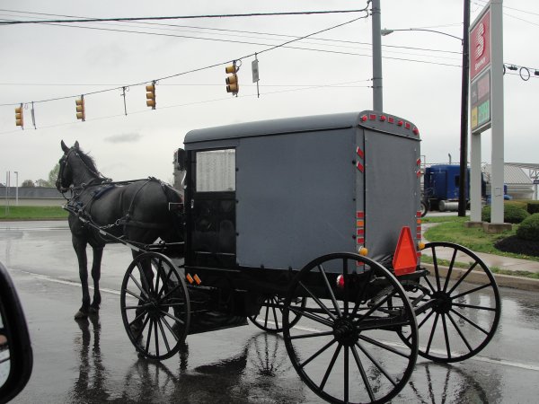 Amish Buggy