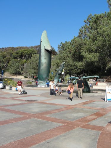 Entrance to the Aquarium, statue of two whales breeching