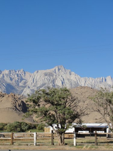 Mt. Whitney