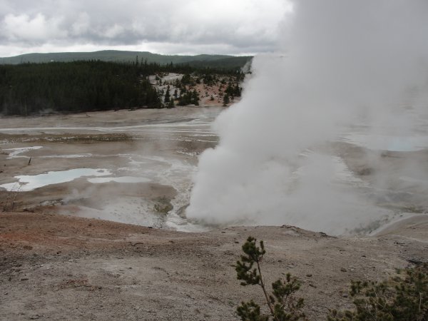 Norris Geyser Basin