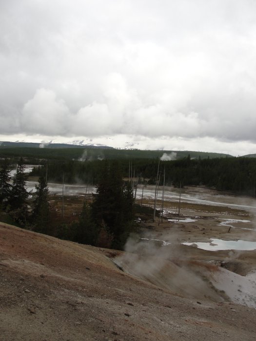 Norris Geyser basin another view