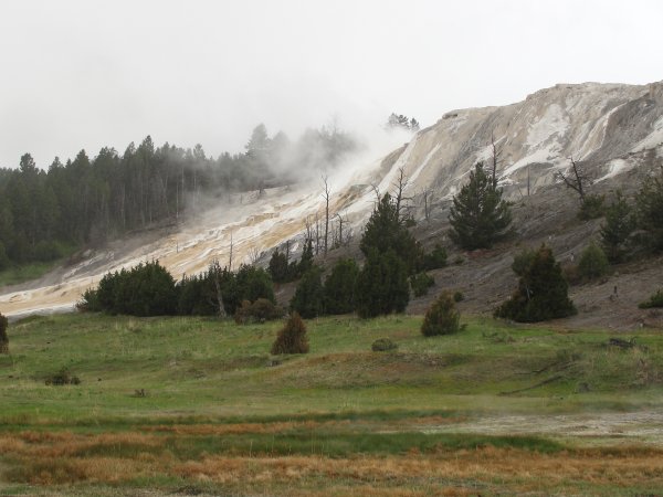 Runoff from Mamoth Springs.