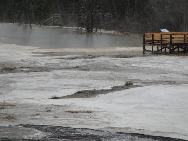 Mammoth Springs