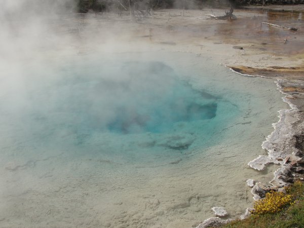 The Fountain paint pot