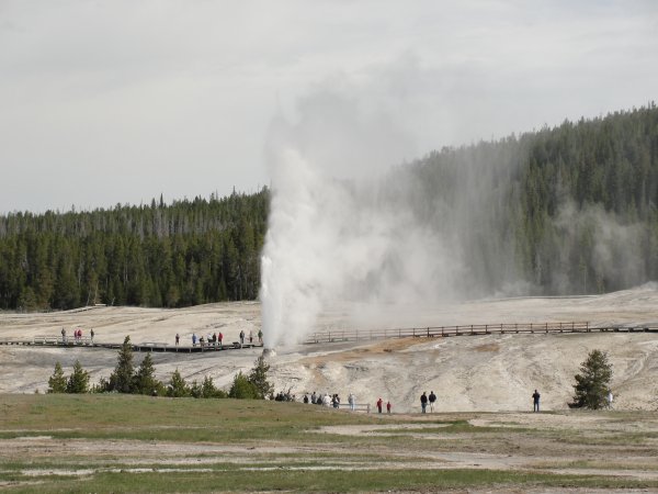 Bee Hive geyser