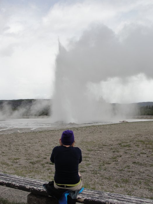 Daisy Geyser