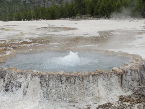 punch bowl pool