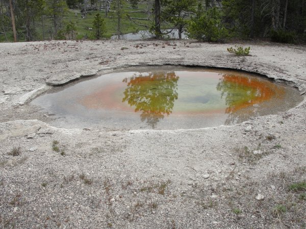 chromatic pool