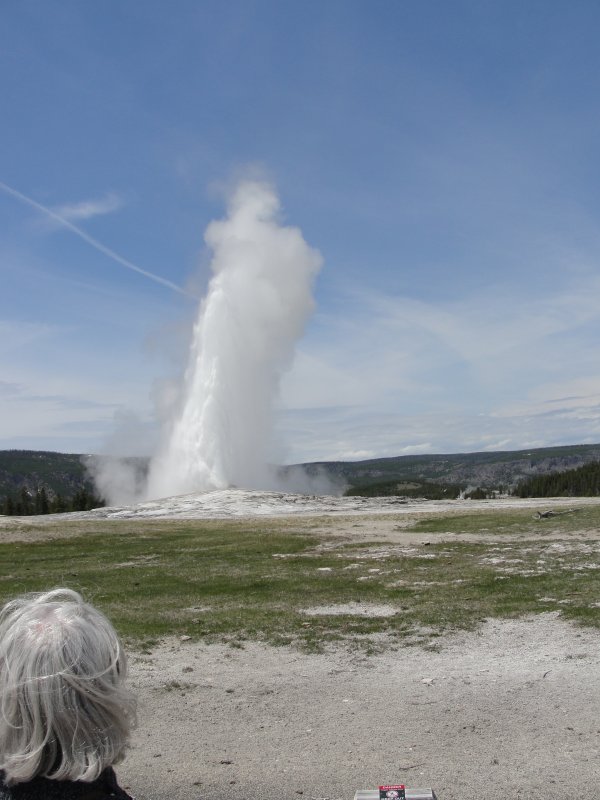 Old Faithful erupting