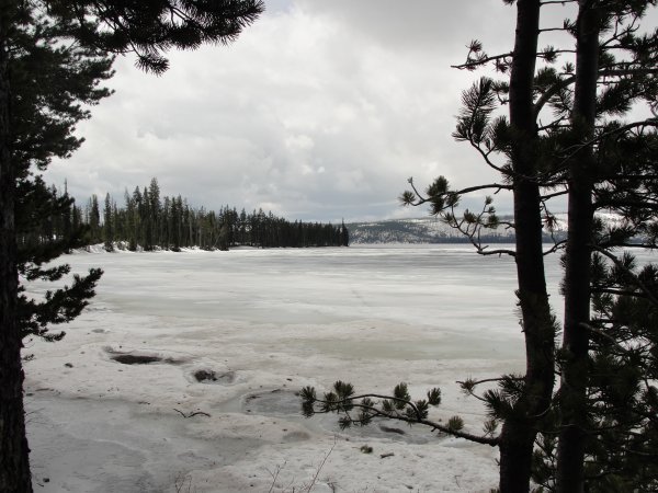 A Frozen Lake
