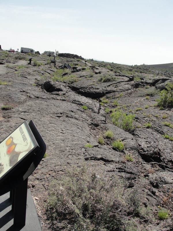 A picture of the expance of Lava
